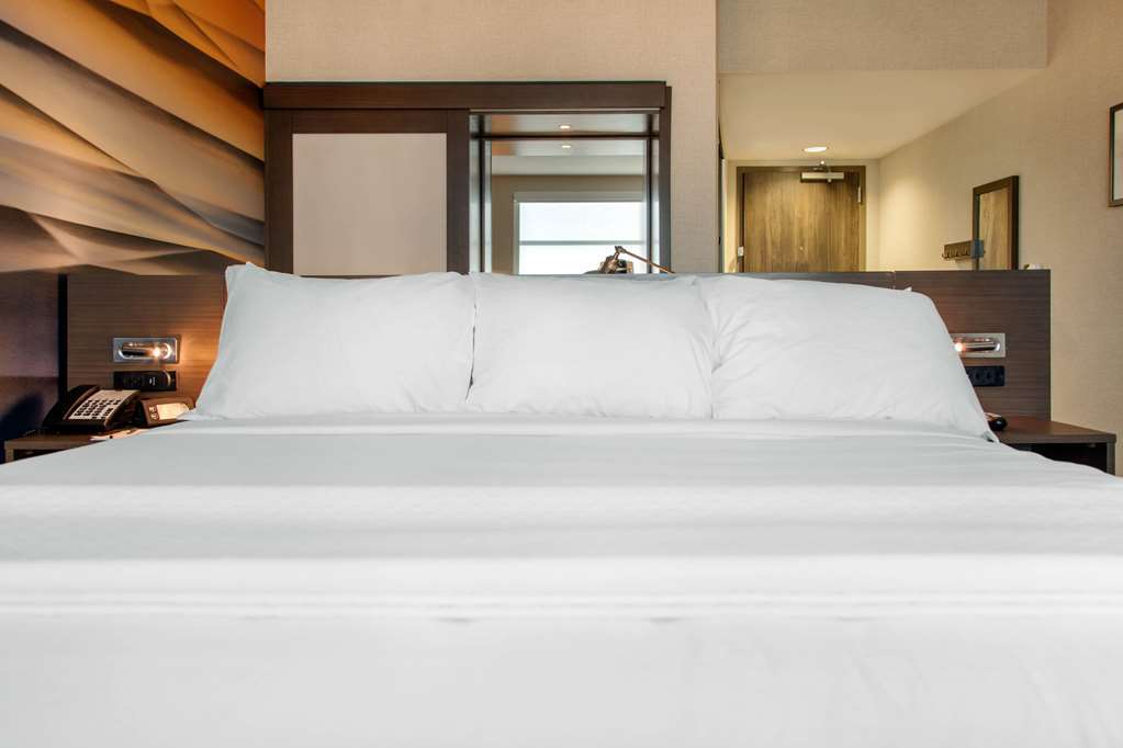 Hotel Centro Sonoma Wine Country, Tapestry Collection Hilton روهنيرت بارك الغرفة الصورة